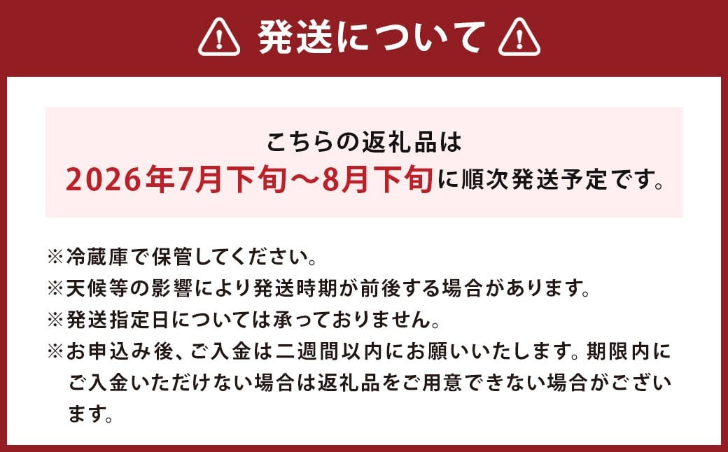 【訳あり】ミニトマト『アイコ』3色ミックス 約2kg