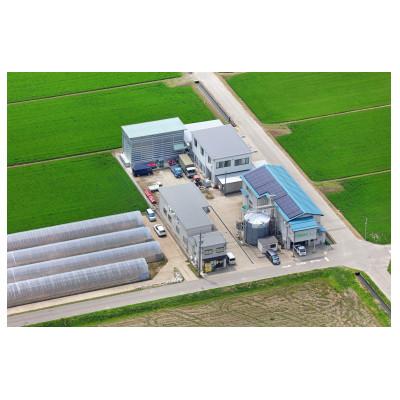 ふるさと納税 南砺市 富山県産こしひかり　育(はぐくみ)贈答用　300g(2合)セットA　《南砺の逸品》 |  | 02