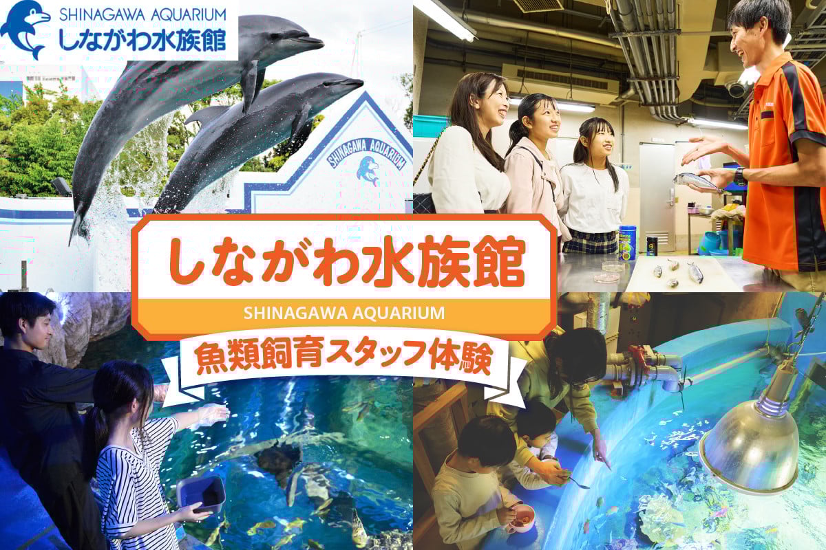 
            しながわ水族館魚類飼育スタッフ体験
          