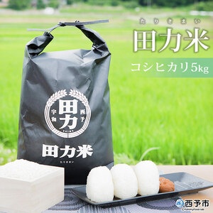 ＜令和7年産 田力米 5kg コシヒカリ＞お米 こめ コメ 白米 精米 こしひかり ご飯 ごはん 特産品 産地直送 田力本願 愛媛県 西予市【常温】『2025年9月下旬より順次出荷予定』UTH0001