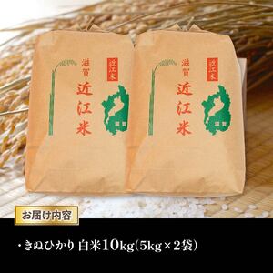 令和5年産 きぬひかり 白米 10kg 近江米 米粉 200g付