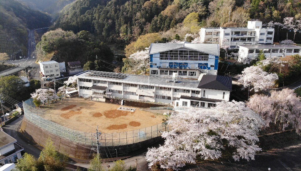 【ふるさと納税】 宿泊券 素泊まり ペアチケット 小学校 ピザ 梅酒 体験 旅行 旅館 ホテル 旅 ツアー 宿泊 観光 桜 吉野川市 徳島県