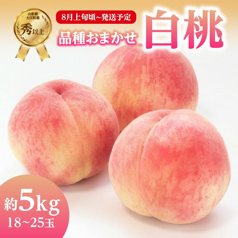 【ふるさと納税】 《先行受付》品種おまかせ 白桃 約5kg【秀以上】 （18〜25玉）【2025年8月上旬頃〜発送予定】 レビューキャンペーン