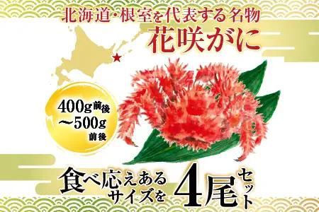 【北海道根室産】花咲かに400g前後～500g前後×4尾 B-36015