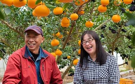 大崎上島産 自家栽培の果実で作る無添加まんまジャム 3本セット