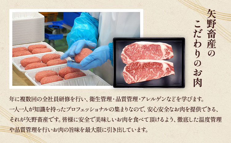 くまもとあか牛 ロース ステーキ 約800g(約200g×4枚) 和牛 牛肉