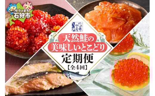 【定期便4回】佐藤水産　天然鮭の美味しいとこどり定期便