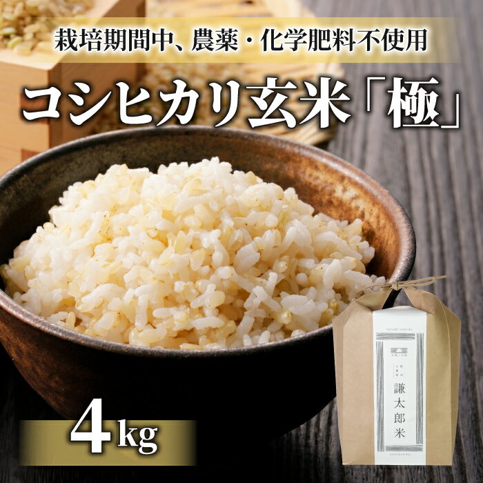 【ふるさと納税】【太陽と大地】令和7年産「八重原産コシヒカリ玄米「極」（栽培期間中農薬化学肥料不使用）4kg」※2025年10月中旬以降発送