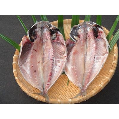 ふるさと納税 熱海市 【熱海ブランド】天日干し　2種類(真あじ、さば醤油干し)10枚 |  | 02