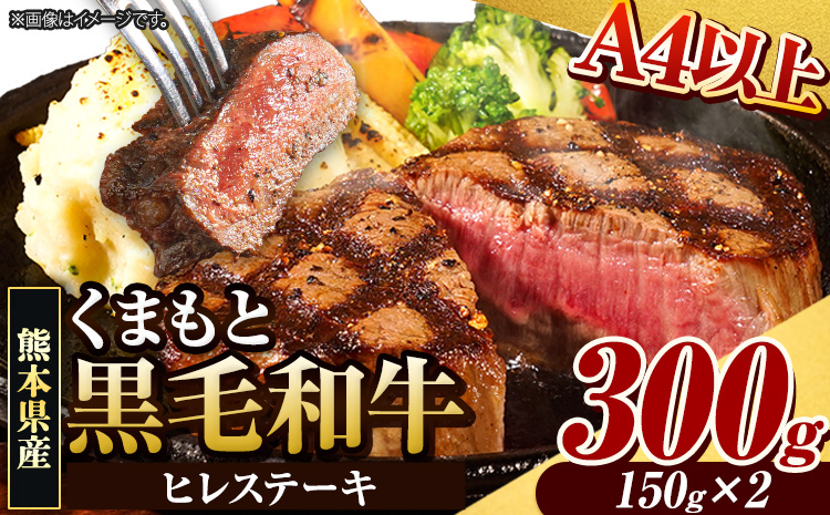 くまもと黒毛和牛 ヒレステーキ 300g (150g×2枚) 牛肉 冷凍 《30日以内に出荷予定(土日祝除く)》 くまもと黒毛和牛 黒毛和牛 冷凍庫 個別 取分け 小分け 個包装 ステーキ肉 にも ヒレステーキ