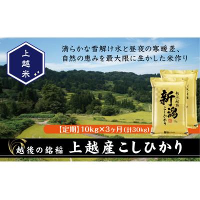 ふるさと納税 上越市 【発送月固定定期便】【先行予約】食味鑑定士厳選 上越産こしひかり[5kg×2袋]全3回