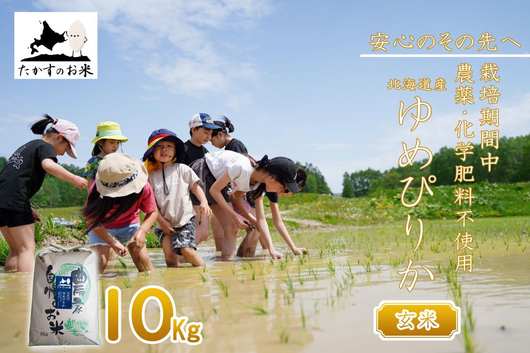 【ふるさと納税】【 令和7年産 】 ゆめぴりか （ 玄米 ） 特Aランク 安心・安全の高みへ！栽培期間中農薬不使用 10kg 北海道 鷹栖町 たかすのお米 米 コメ こめ ご飯 玄米 お米 ゆめぴりか コメ