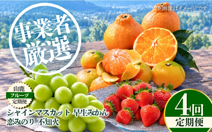 
                  【先行予約】【4回定期便】 フルーツの名産地 山鹿から直送する旬のフルーツ シャインマスカット 早生 みかん いちご 恋みのり 不知火 [ZZZ007]
                