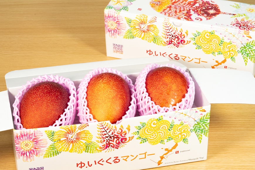 【2025年発送】沖縄県糸満産の「濃厚アップルマンゴー」1kg オリジナル贈答用化粧箱入り 生産者:ゆいぐくるマンゴー