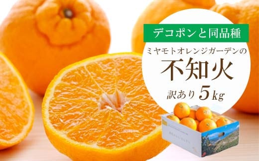 ＜2026年2月以降発送＞デコポンと同品種 濃厚柑橘 不知火5kg＜訳あり＞＜C25-139＞【1138007】