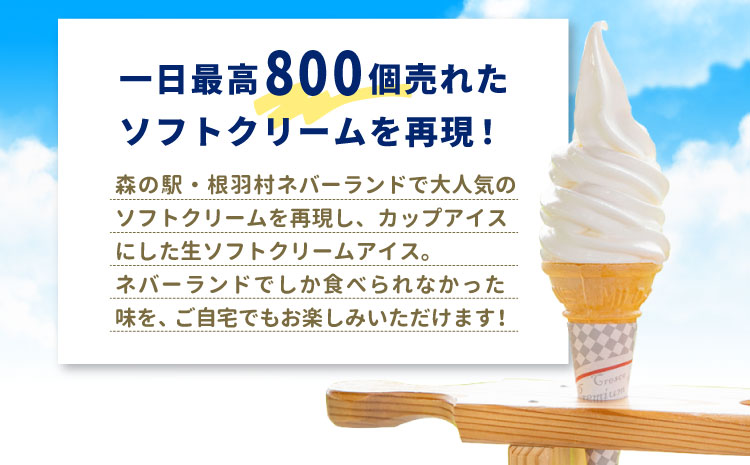 食べ比べ！乳原料南信州産100％使用！生ソフトクリームアイス&バニラアイスクリーム (80ml)×24個セット　