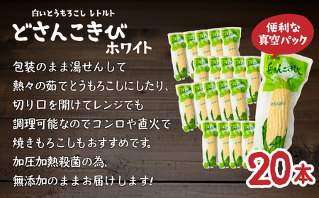 どさんこきびホワイト20本 北海道産 【 ふるさと納税 人気 おすすめ ランキング 野菜 その他野菜 とうもろこし トウモロコシ 国産 ホワイト 白い 大容量 おいしい 美味しい 甘い 北海道 豊浦町