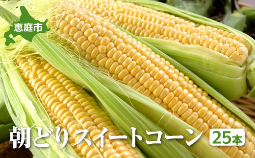 『★先行予約★8月初旬より順次発送』朝どり スイートコーン 25本 北海道産 とうもろこし ふるさと納税 北海道 恵庭市【31000102】