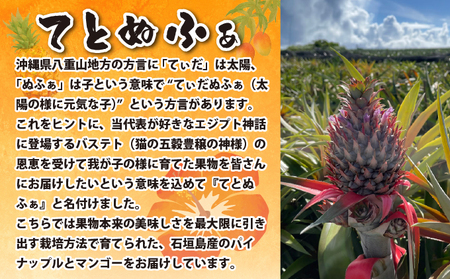 《8月以降順次発送》最高糖度20度！？冬眠ミニマンゴーと完熟てとの黄金パインジュース