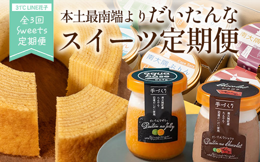 【全3回定期便】本土最南端よりだいたんなスイーツ定期便 SH-15 | たんかんゼリー チョコレートムース バウムクーヘン バームクーヘン ぷりん 果肉入り タンカン 辺塚だいだい 贅沢 ご褒美 フル