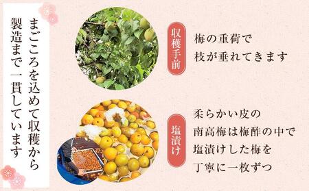 極上 紀州南高梅 まごころ梅 はちみつ 梅干し 3L サイズ以上 1kg 塩分 約8％ 化粧箱入り