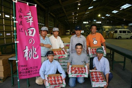 【先行予約】 《数量限定》 幸田町産「桃」3kg 化粧箱入り もも フルーツ 果物 ※2026年6月下旬～7月下旬頃に順次発送予定 ※着日指定不可 ※北海道・沖縄・離島への発送不可