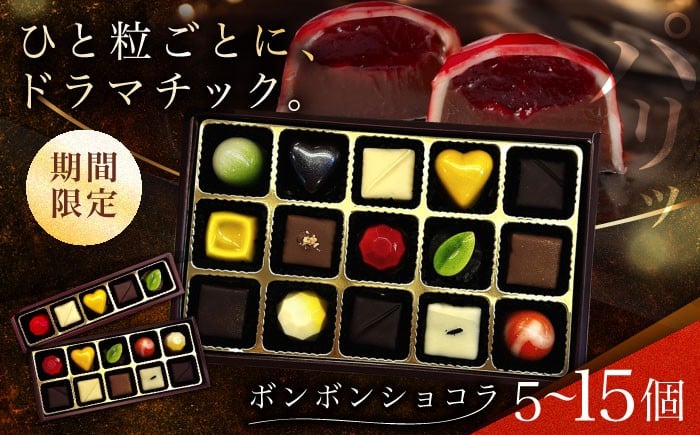 
            【2026年2月～発送】【着日指定可】ボンボンショコラ / チョコレート 詰め合わせ ちょこれーと ショコラ お菓子 バレンタイン チョコ ホワイトデー / 南島原市 / 本田屋かすてら本舗 [SAW031] [SAW032] [SAW033]
          