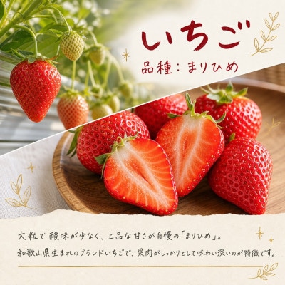 【発送月固定定期便】紀州和歌山産旬のフルーツセット(いちご・桃・ピオーネ)全3回【配送不可地域：離島・北海道・沖縄県】
