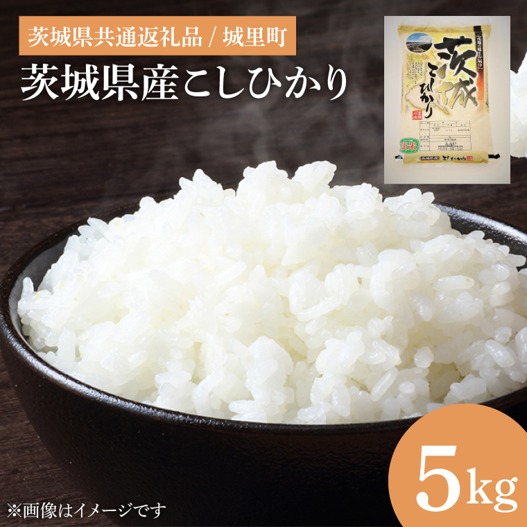 【数量限定】【令和7年度産 新米】茨城県産こしひかり 5kg（茨城県共通返礼品/城里町）【お米 ごはん こしひかり おいしい 白米 茨城県産 水戸市】（IH-6249）