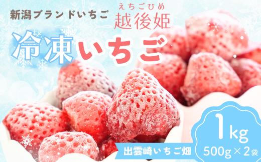 【越後姫 いちご】冷凍いちご 1kg（500g×2袋） 国産 減農薬栽培  苺 イチゴ ブランドいちご 冷凍フルーツ フルーツ 果物 新潟県産 出雲崎町