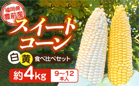 【冷蔵配送】農家直送 朝どれ スイートコーン 白 黄 食べ比べ セット 約4kg （9～12本入り）《豊前市》【湯越農園】 野菜 コーン [VBC002] とうもろこし