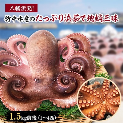 八幡浜発!竹中水産のたっぷり「浜茹で地蛸」三昧!1.5kg前後【F22−189】【配送不可地域：離島】【1043154】