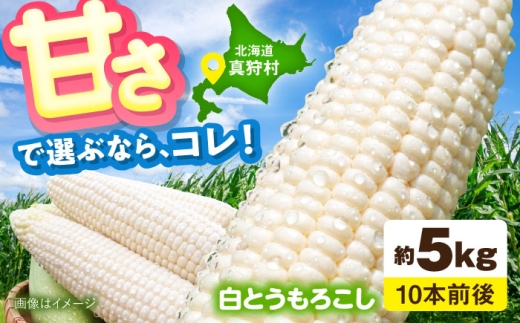 【2026年8月下旬以降順次発送】 とうもろこし 白 5kg  |  とうもろこし とうきび トウモロコシ トウキビ コーン 野菜 やさい 北海道 産地直送 採れたて野菜 旬 夏野菜 先行予約 自然 旨味 甘味 人気 | 道の駅 真狩フラワーセンター [BPAM021]