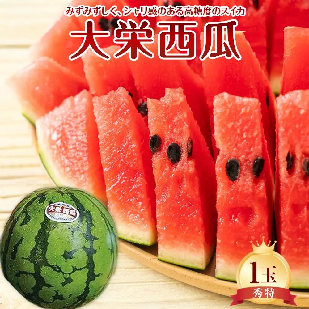 【先行予約】【ＪＡ】大栄西瓜 秀特×1玉 ※着日指定不可 ※離島への配送不可 ※2026年6月中旬頃～7月中旬頃に順次発送予定 スイカ