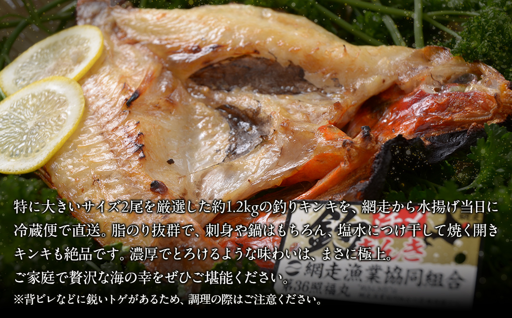 【冷蔵届け】網走産釣りキンキ【2尾で約1kg】 ABAO116