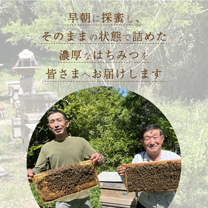 天然はちみつ「百花蜜」250g はちみつ はちみつ はちみつ