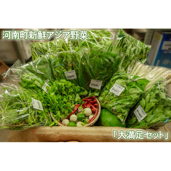 【ふるさと納税】No.334 河南町新鮮アジア野菜「大満足セット」 ／ やさい パクチー バジル 唐辛子 詰め合わせ 送料無料 大阪府