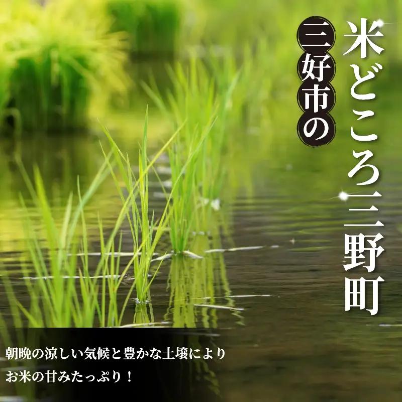 《 先行予約 》 ヒノヒカリ 新米 令和8年度 20kg 米 【 玄米 】
