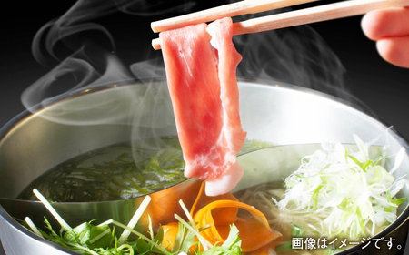 ＜しゃぶしゃぶやすき焼きに！＞佐賀産和牛 肩ローススライス 約500g 佐賀県/株式会社そよかぜ館 [41AAAL005]