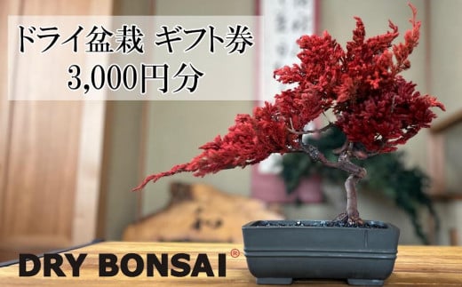 【ドライ盆栽】ギフト券 3,000円分（ワークショップ・作品購入に使用可能）