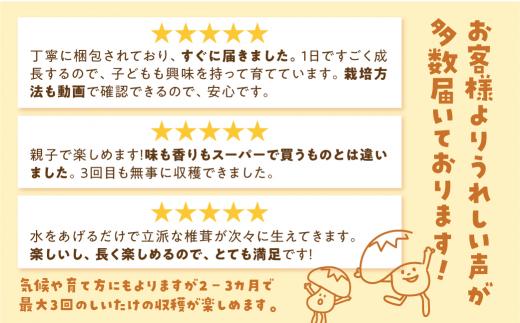 【定期便 年4回】 菌床椎茸栽培キット 1個 （3ヶ月おきにお届け 全4回）| しいたけ シイタケ 椎茸 栽培キット きのこ 栽培 菌床 しいたけ菌 椎茸菌 栽培ブロック 採れたて とれたて 夏休み 