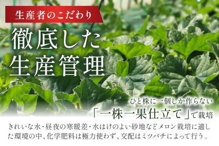 メロン／ブランドメロン＜糖度15度以上＞【先行予約】京のブランド産品 京たんごメロン 琴引メロン 2玉（2024年6月下旬～発送）　※マスクメロン（アールスメロン）系　フルーツ・メロン２玉・果物・ネッ