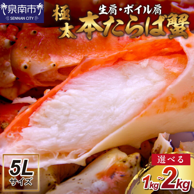 【ふるさと納税】選べる 内容量！【極太5Lサイズ】本たらば蟹 生肩 ボイル肩 1kg 2kg お中元