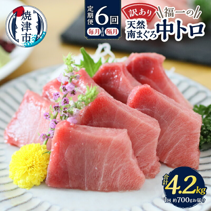 【ふるさと納税】 【定期便選べる6回連続、隔月】 定期便 マグロ 中トロ 訳あり 刺身 ミナミマグロ まぐろ 鮪 南まぐろ 鮮魚 不揃い 規格外 冷凍 切り落とし 約700g×6 a60-020 a60-021