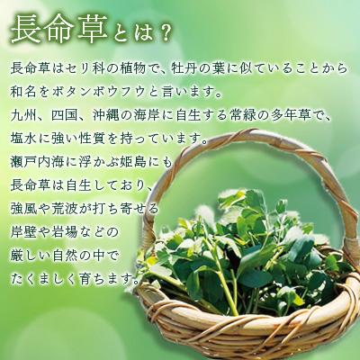 ふるさと納税 姫島村 姫島村産 長命草 ペースト 1箱(30袋入り) |  | 01