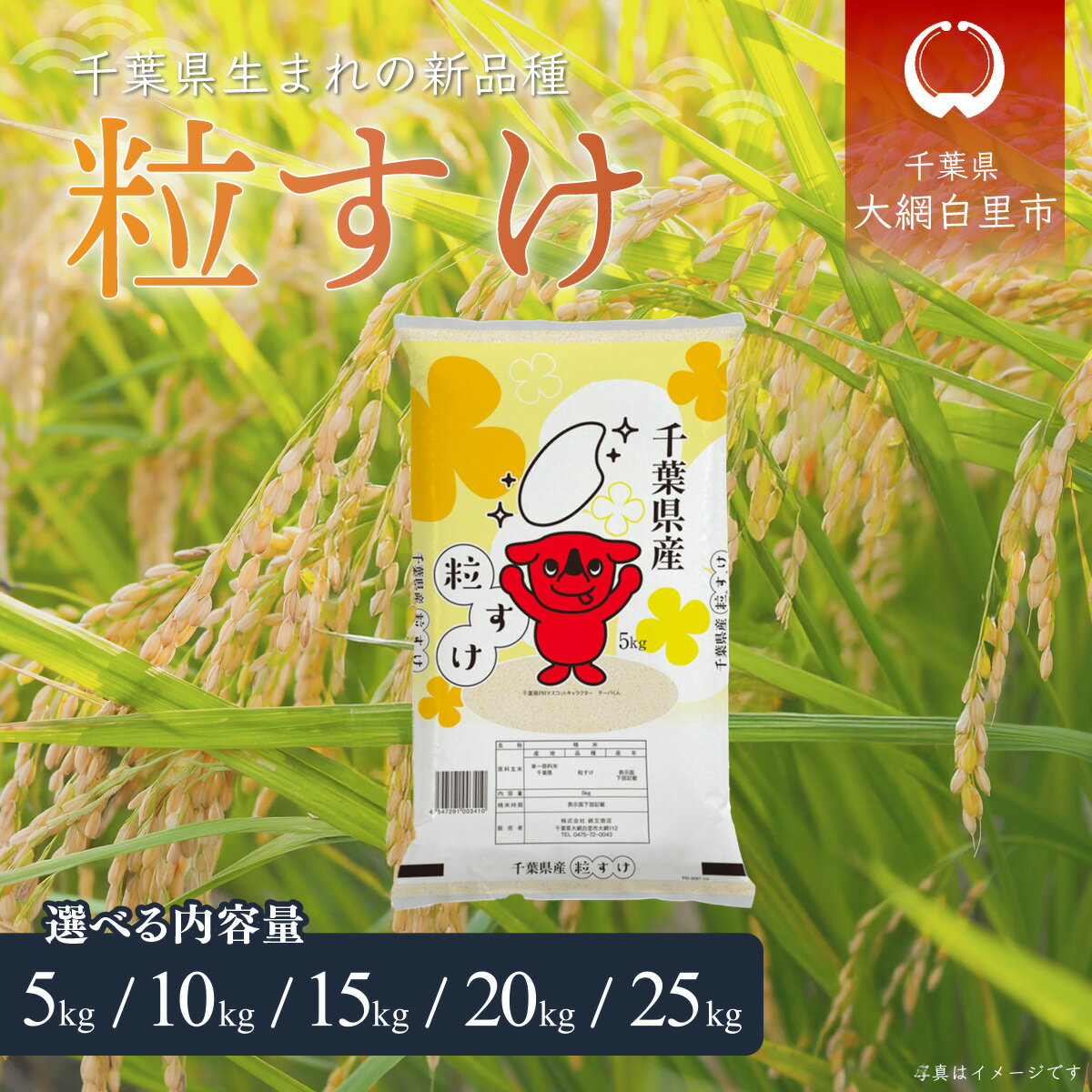 【ふるさと納税】【先行受付】令和7年産 千葉県産「粒すけ」選べる 5kg〜25kg（5kg×1袋〜5袋）お米 千葉県産 大網白里市 粒すけ 米 精米 こめ 白米 ご飯 千葉県産米 5kg10kg 15kg 20kg 25kg 10キロ 15キロ 20キロ 25キロ