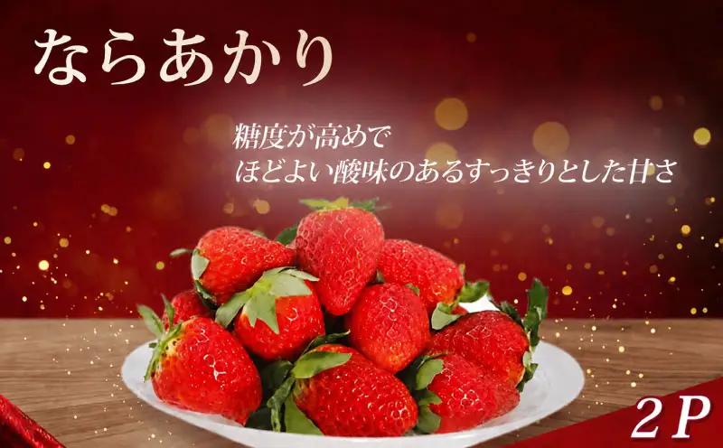 【2027年1月～発送】ならあかり 260g×2パック
