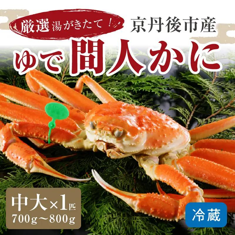 かに卸問屋がお届け・自社釜ゆで！幻のゆで間人ガニ 700ｇ～800ｇ 中大サイズ（11月発送）／北畿水産 かに