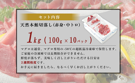 高豊丸 天然本マグロ (赤身・中とろ) 切り落とし 100g×10パック 1kg マグロ 刺身 刺し身 魚 惣菜 海鮮丼 魚介類 小分け 訳あり 不揃い 冷凍_tk040