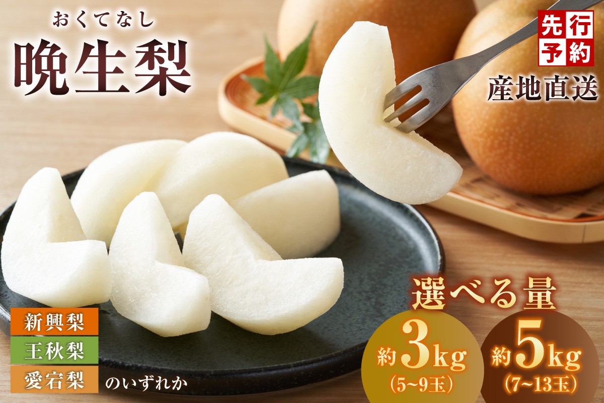 
                  【2026年産 先行予約】《選べる内容量 3kg・5kg》【晩生梨 品種 （新興梨 王秋梨 愛宕梨のいずれか）】【令和8年10月中旬以降発送予定】 晩生品種 新興・王秋・愛宕  梨 なし ナシ 和梨 フルーツ 大人気 人気 甘い みずみずしい 果実 果物 新鮮 旬の果物 おすすめ ランキング 国産 香住  贈り物  贈答 ギフト 秋 冬 兵庫県 香美町 香住 JAたじま 12-P-0624
                
